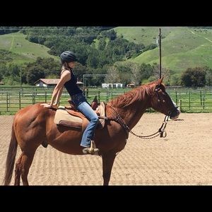 Meet your Posher, Sasha